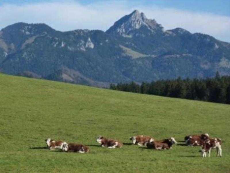 Ferienwohnung Del Toso Schliersee Eksteriør bilde